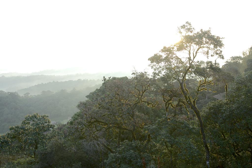 Taj Madikeri Resort&Spa Coorg Bagian luar foto